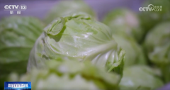 <b>只议合理、食材健康</b>