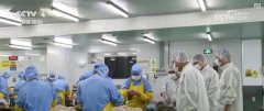 <b>海关部分加大对进口食物添加剂未照实申报等违</b>